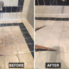 Multipurpose Mildew Eliminator - Image 5