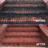 Multipurpose Mildew Eliminator - Image 3
