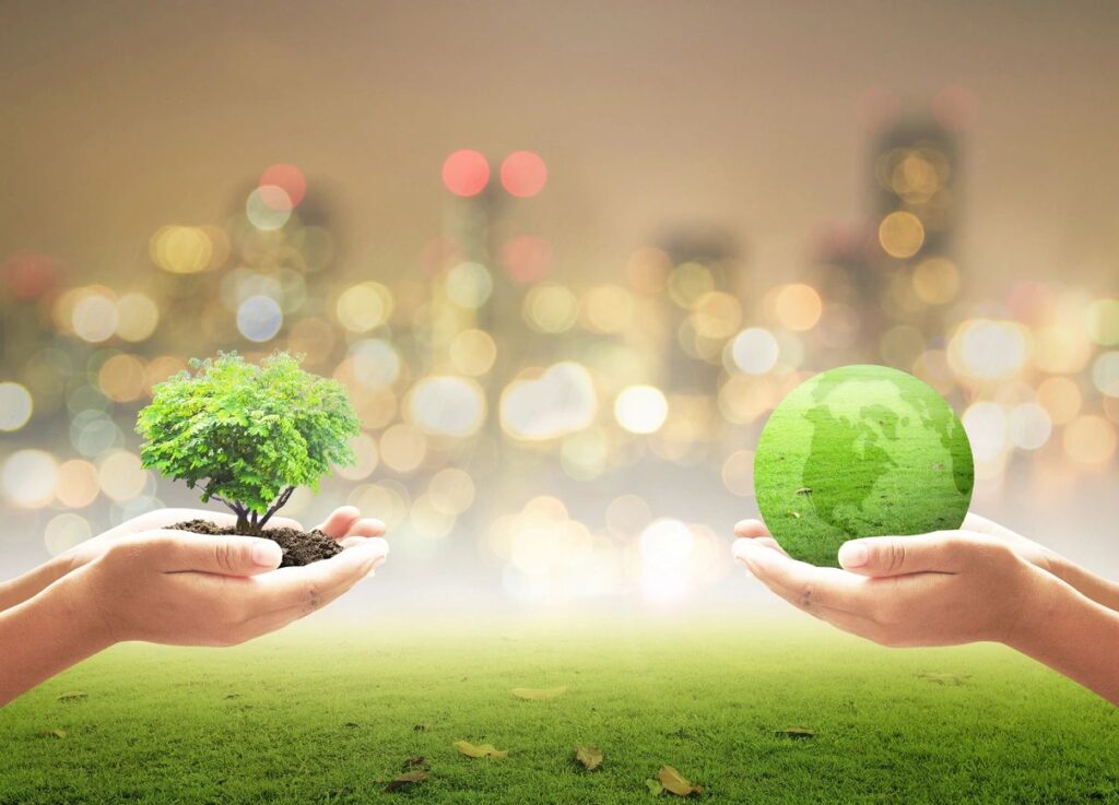 image of a green tree and a green earth