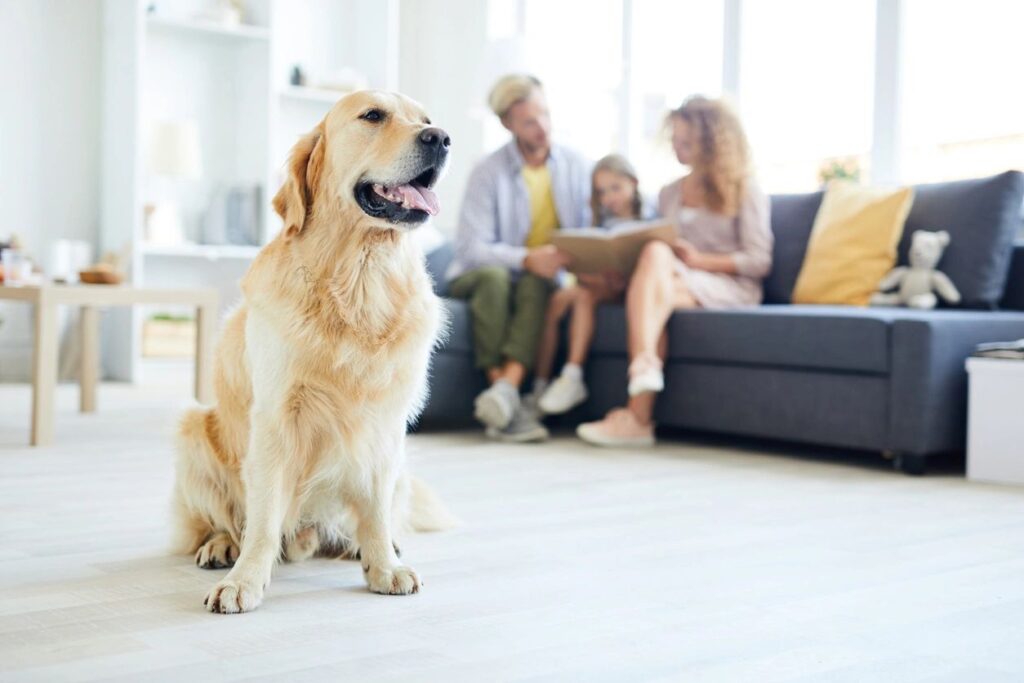 image of a dog and a family on the couch