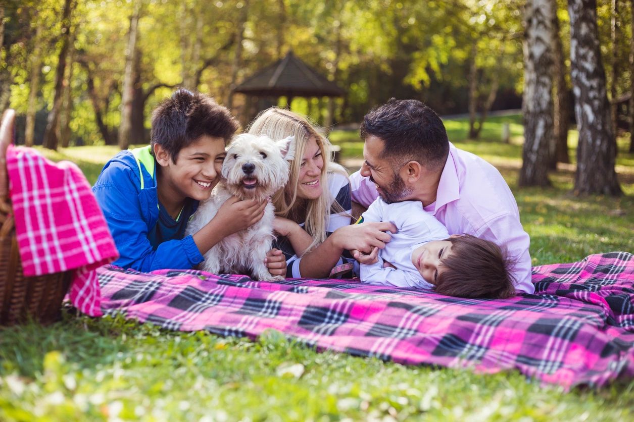 image of family and dog playing on a blanket outside