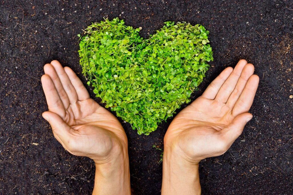 image of two hands and greenery in the shape of a heart