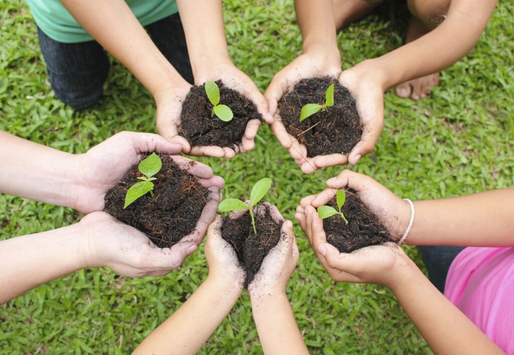 image of children holding plants in their hands