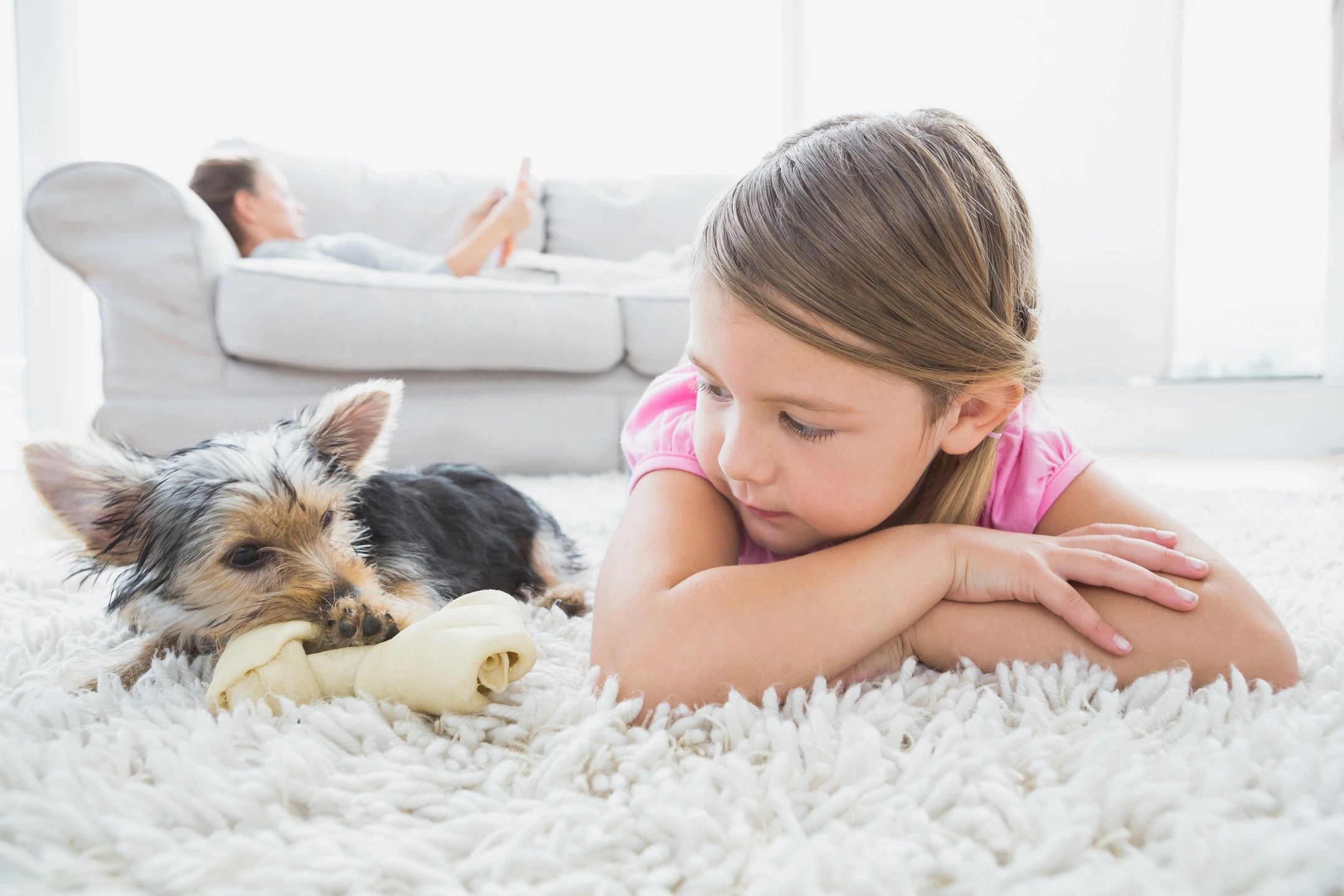 pet fresh carpet odor eliminator safe for pets