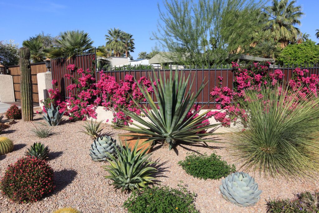 image of a backyard garden