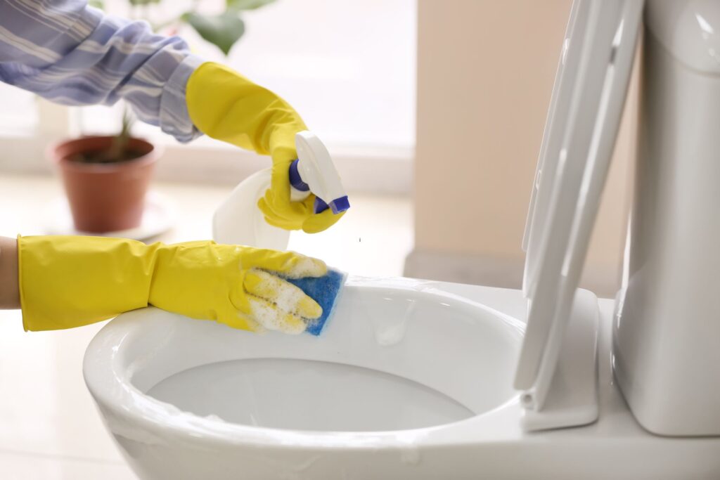 image of a woman scrubbing the toilet bowl