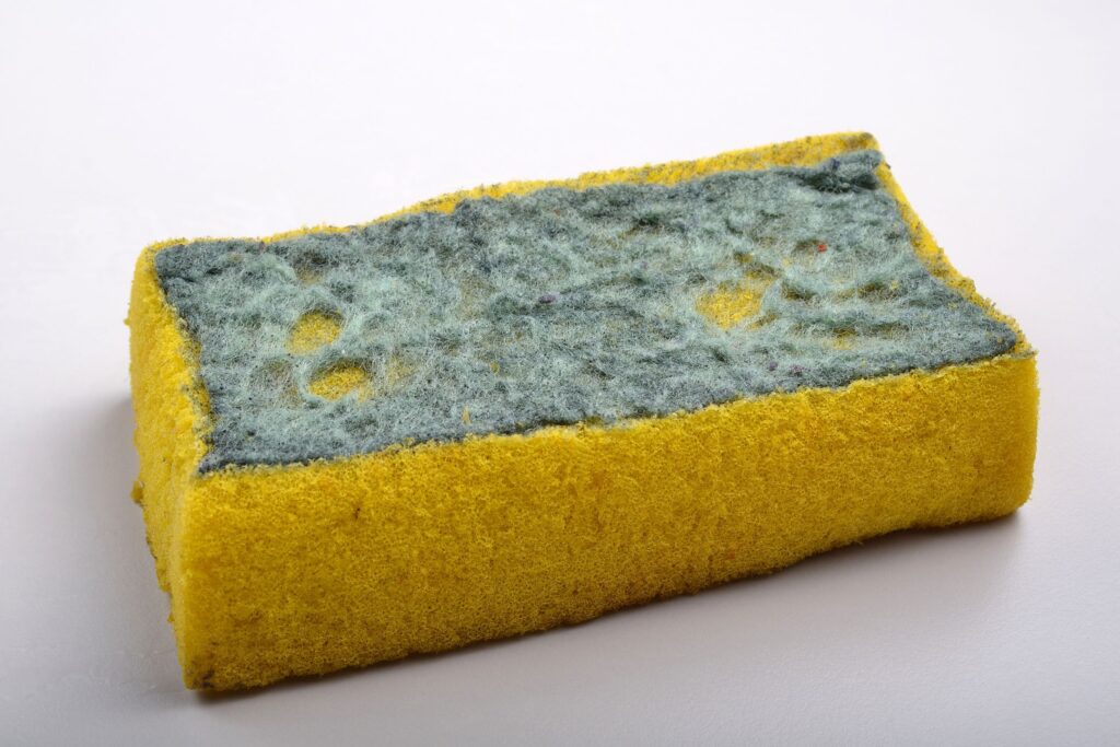 image of a dirty sponge