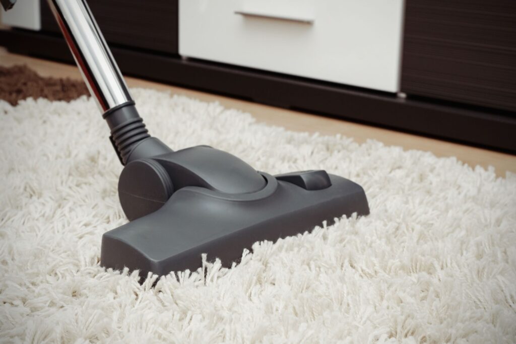 image of a vacuum cleaner vacuuming a rug